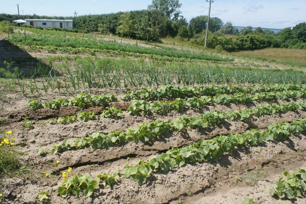 Agrodomki Okej -Dom Kasjan Gardna Wielka Buitenkant foto