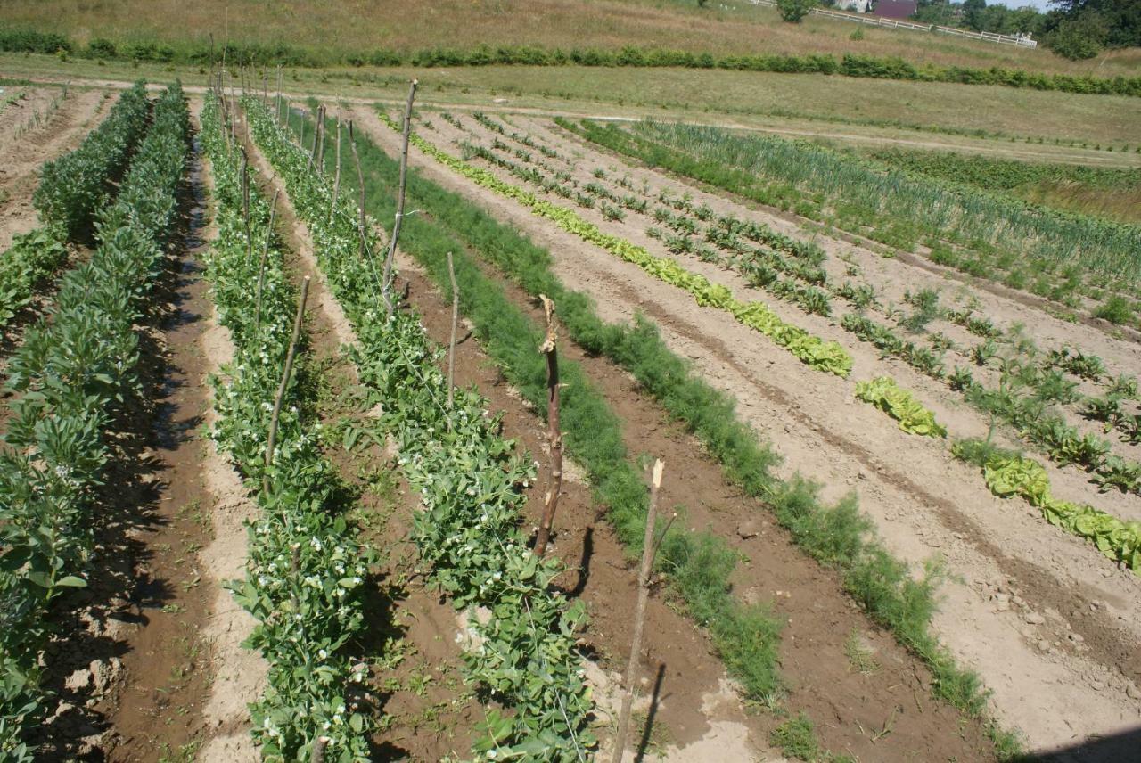Agrodomki Okej -Dom Kasjan Gardna Wielka Buitenkant foto